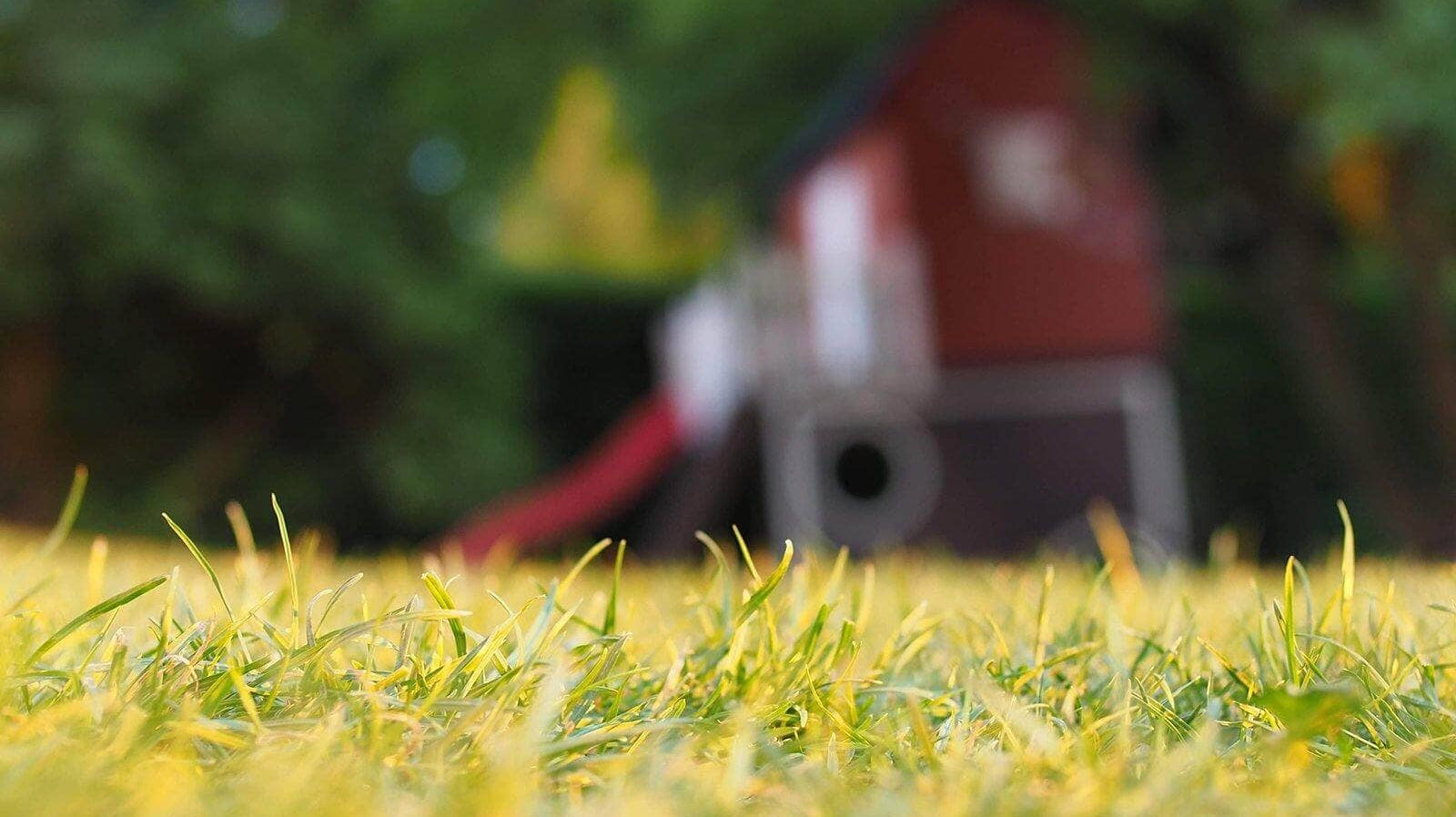 Backyard Soccer Training