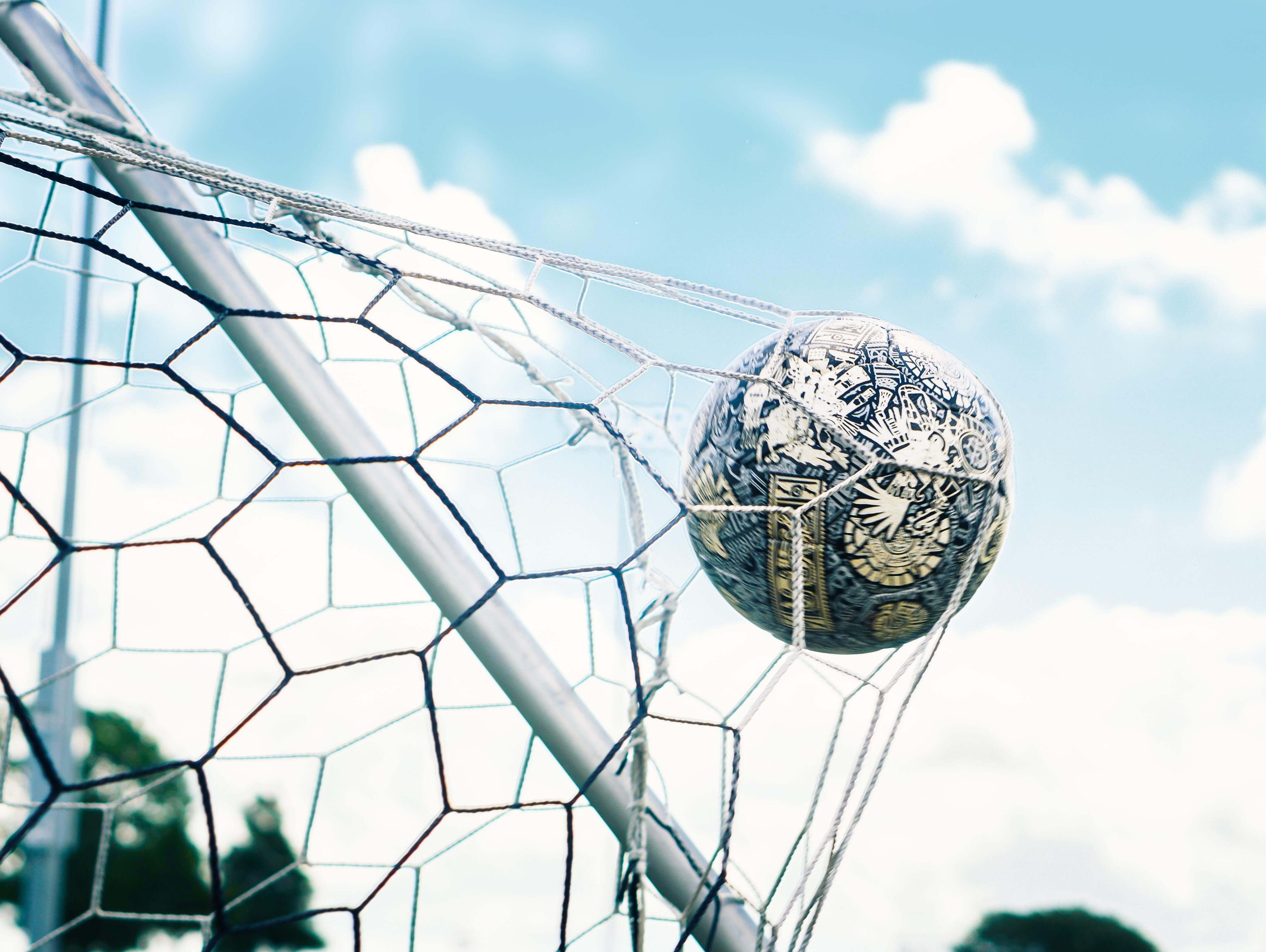 Soccer Net Buying Guide