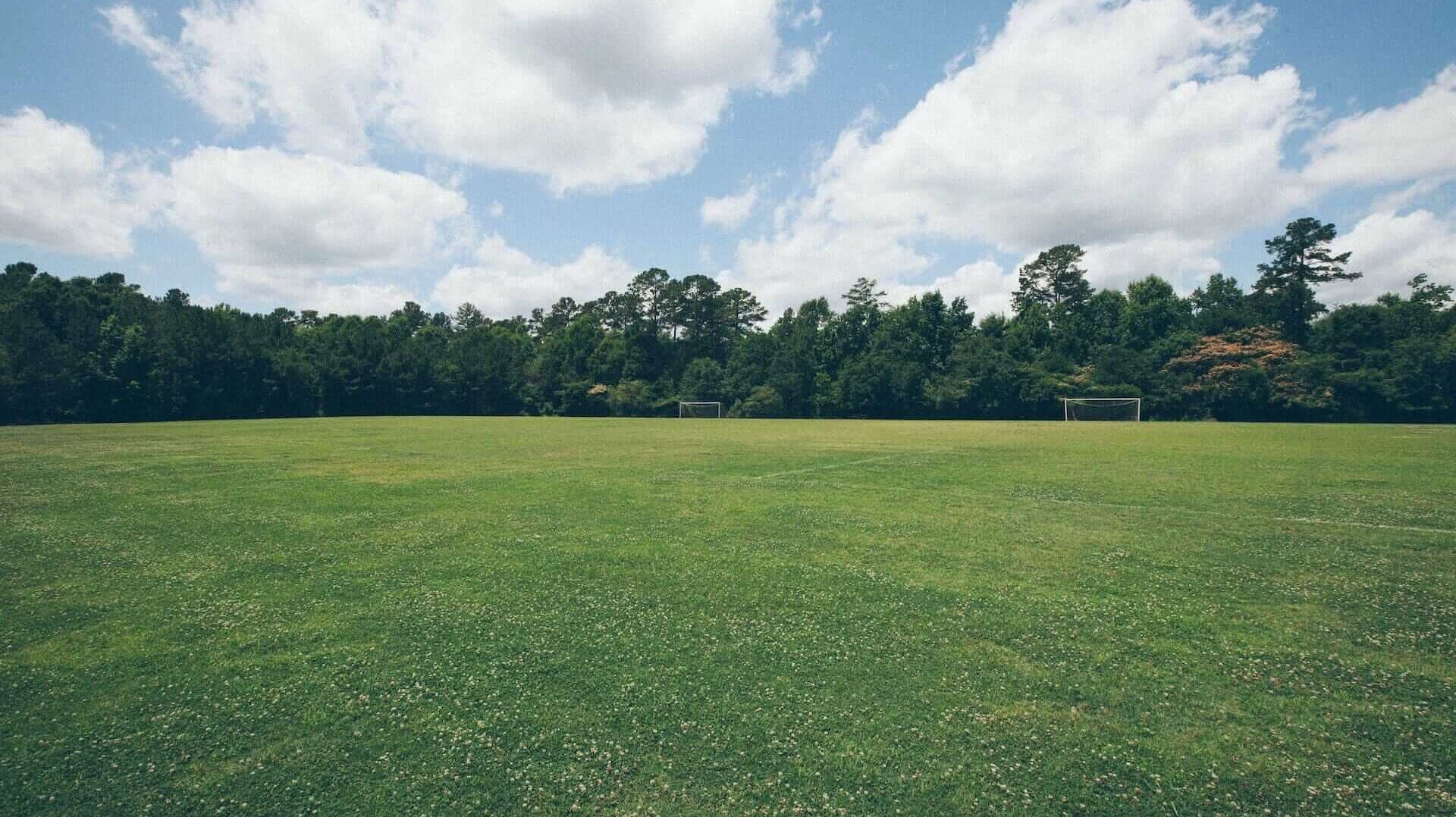 build a backyard soccer field