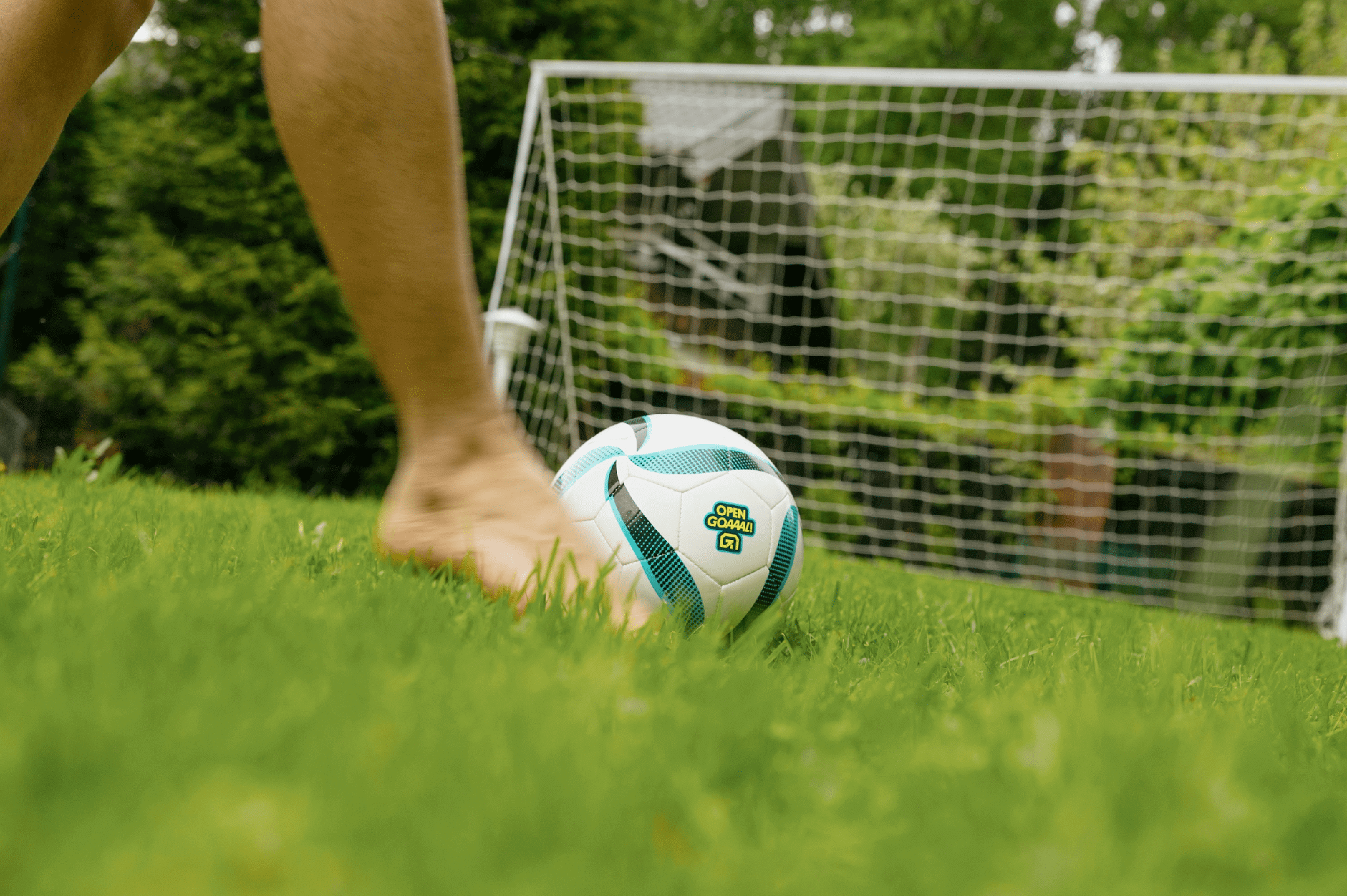 Premium soccer ball on grass field in front of goal net.