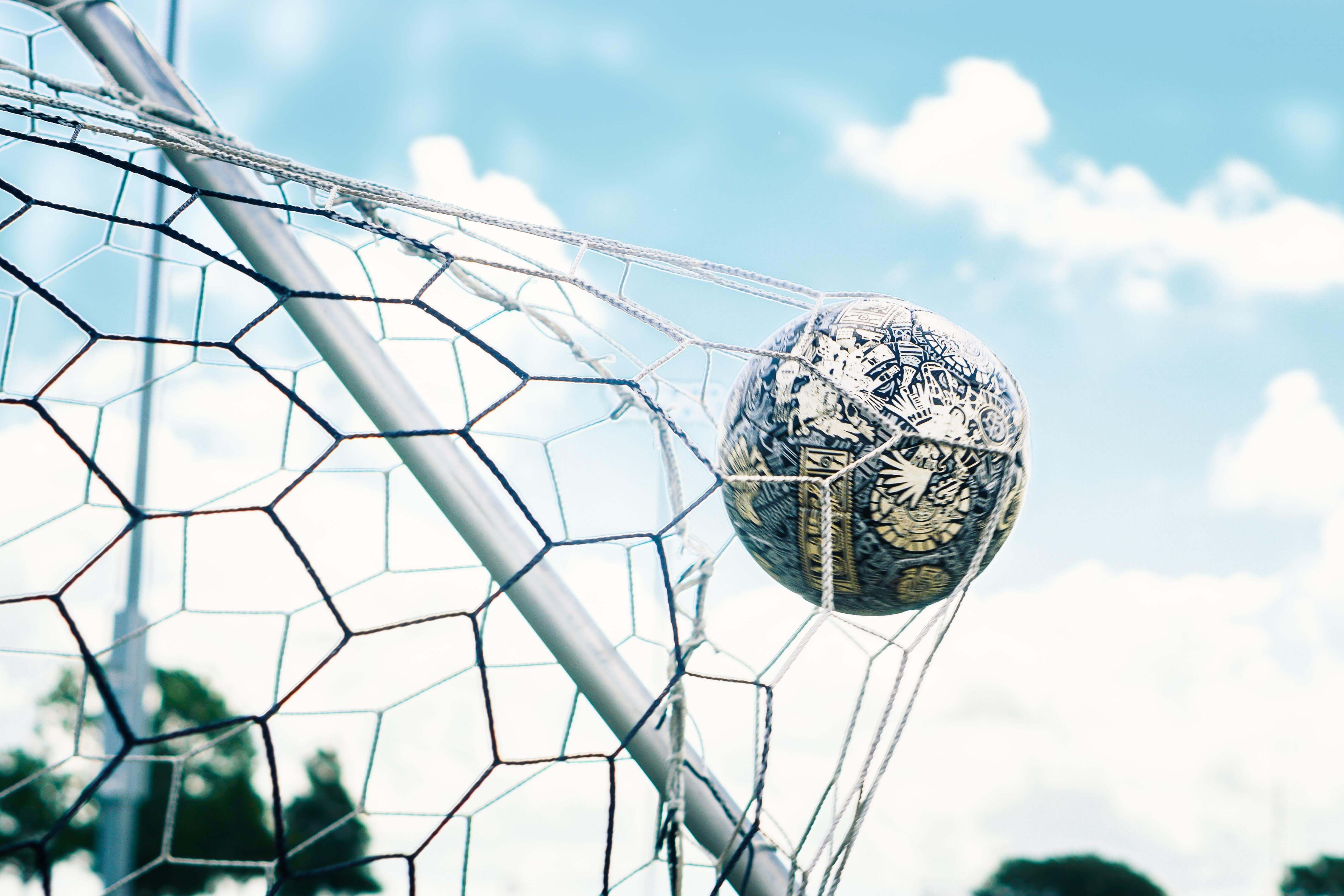 Soccer Net Buying Guide