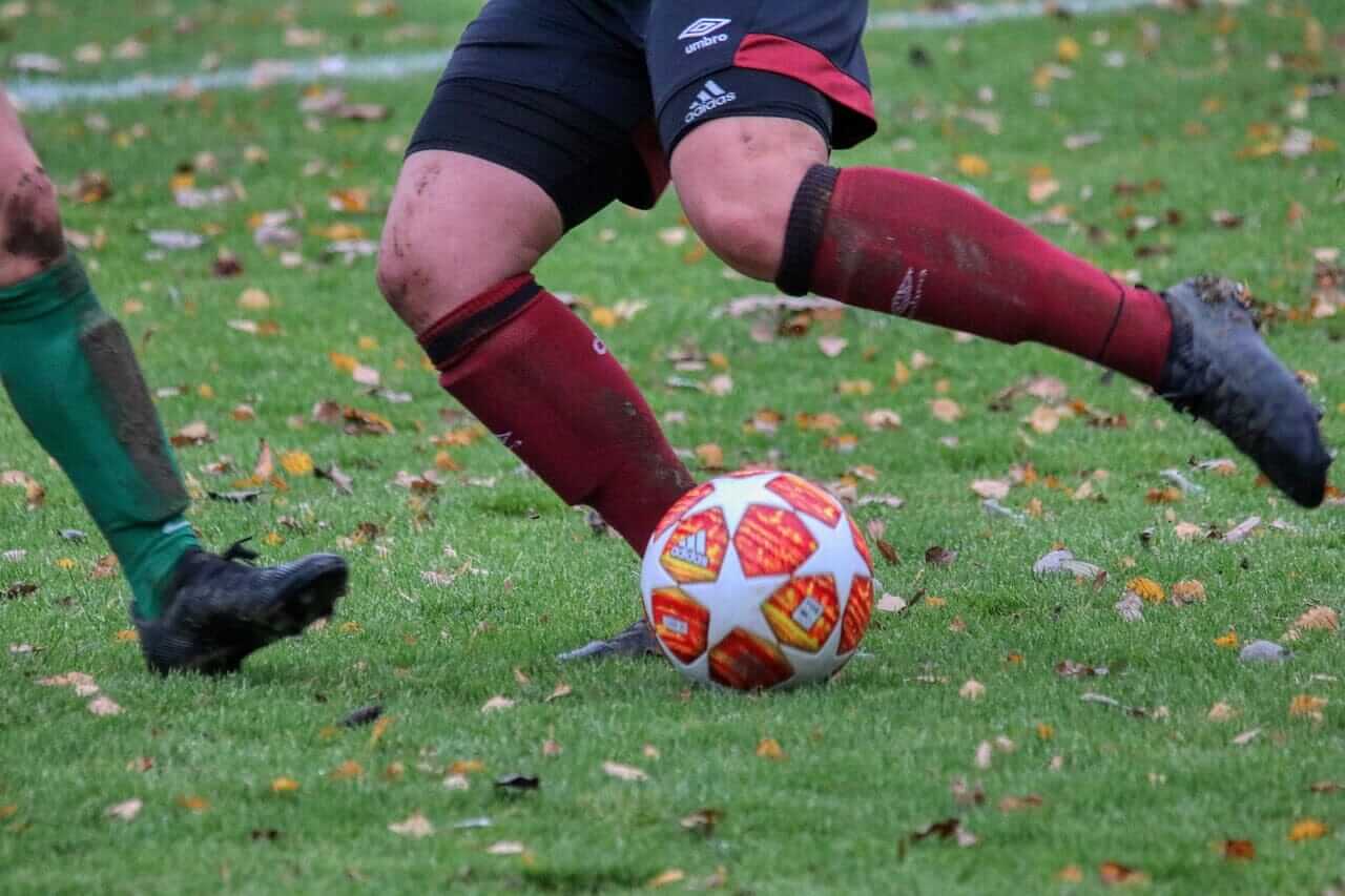 Image by Alexander Fox | PlaNet Fox on Pixabay